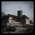 Burg Lauffen (Grafenburg)